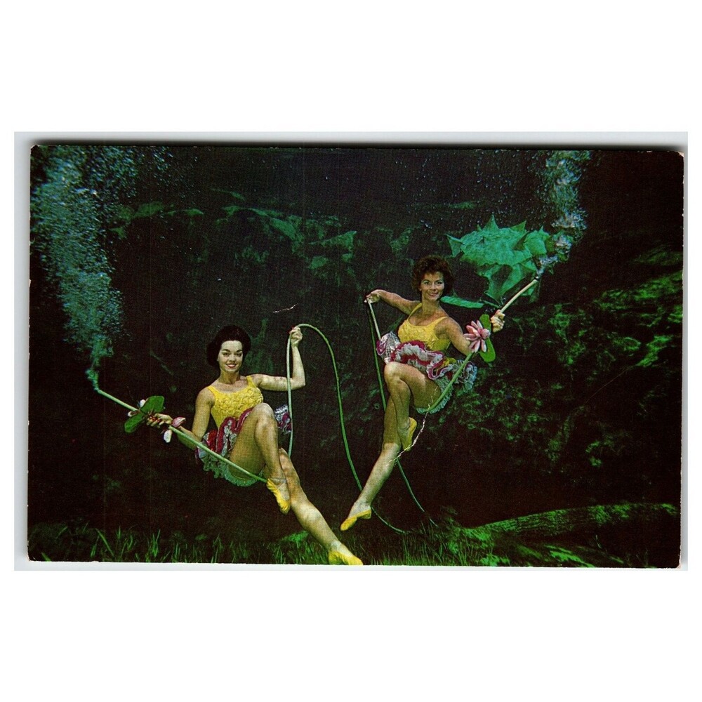Weeki Wachee Mermaids Underwater Grand Canyon Florida Postcard 1960s